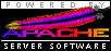 The Apache Group